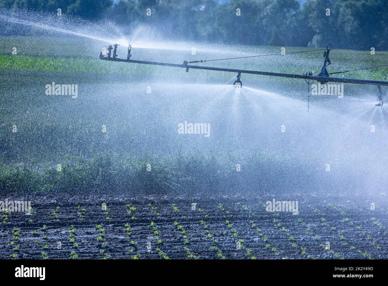 macchine spruzzatrici di acqua per gli impianti Foto Stock