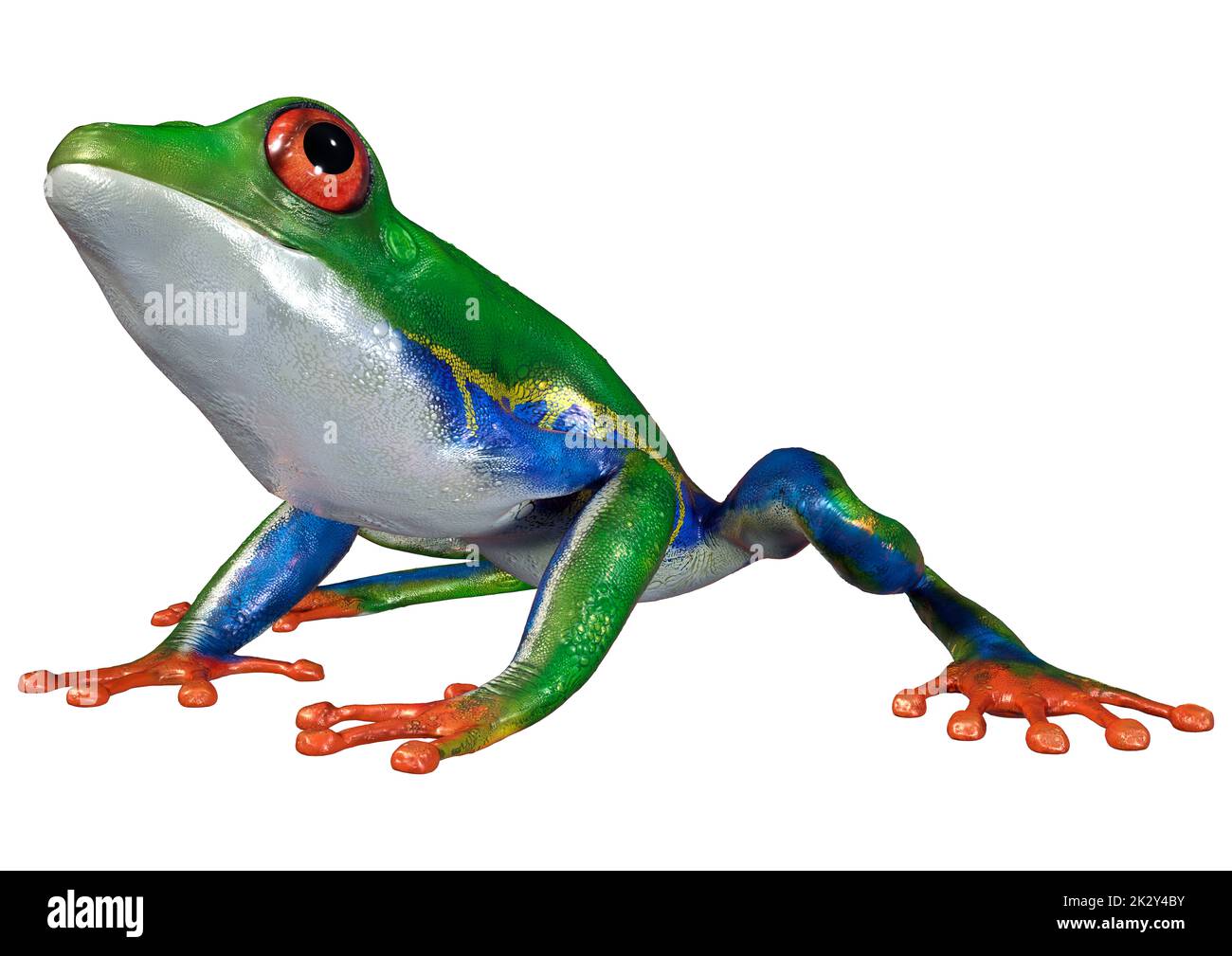 3D rendering di Amazon Tree Frog su bianco Foto Stock