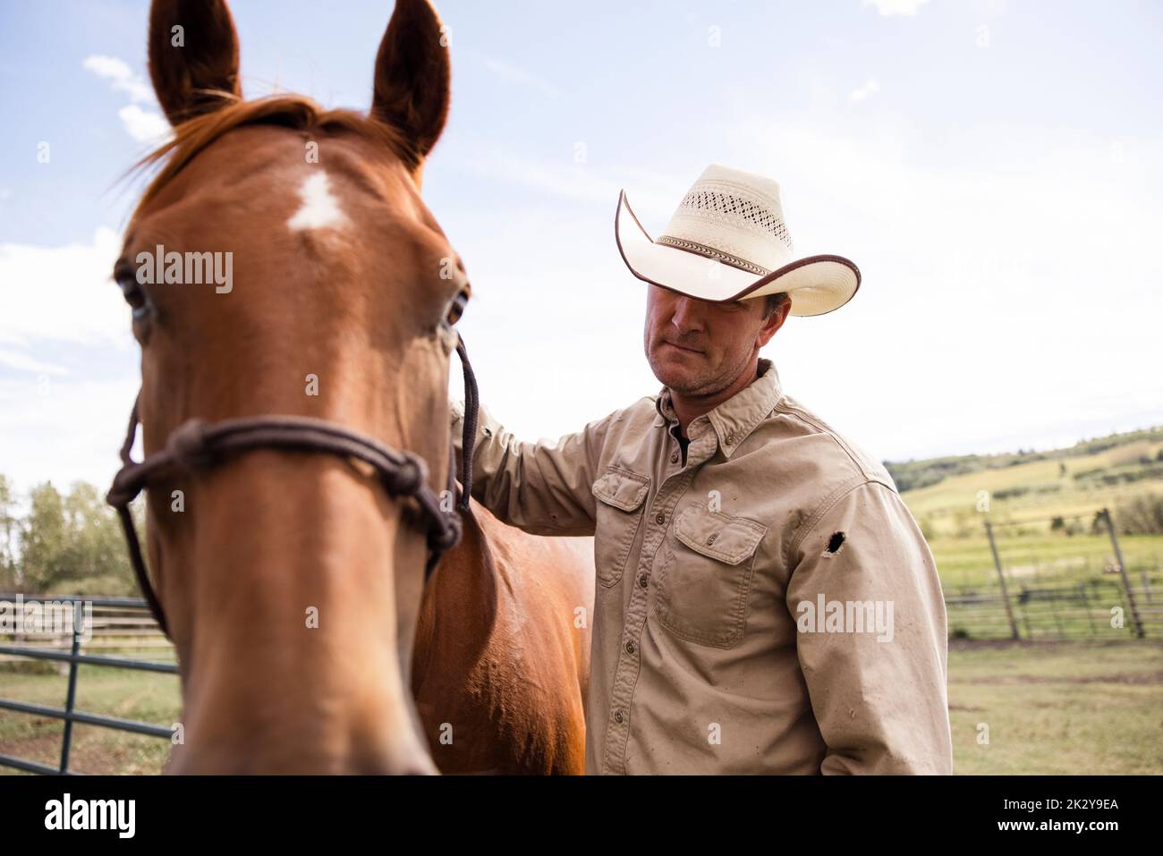 Contadino maschio in cappello da cowboy con cavallo di castagno in pascolo contadino Foto Stock