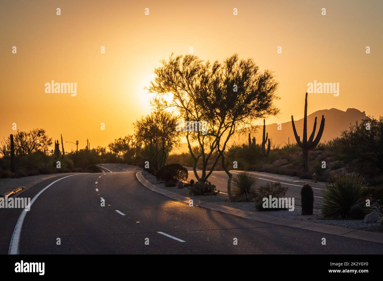 Vista al tramonto della strada nel quartiere di Troon North a North Scottsdale, Arizona, Stati Uniti. Foto Stock