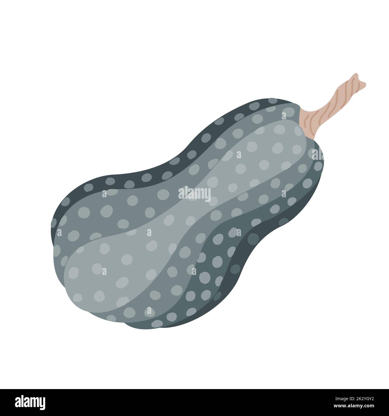 Carino zucca isolata con ornamento di doodle. Illusione vettoriale piatta. Halloween o simbolo del giorno del Ringraziamento Illustrazione Vettoriale