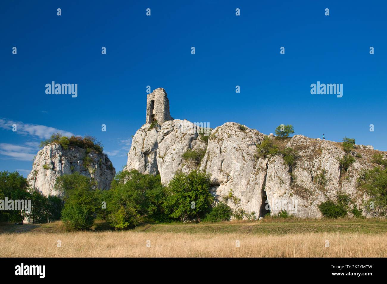 Una rovina del castello Sirotci hradek in Moravia, sotto il cielo blu. Palava, Repubblica Ceca. Foto Stock