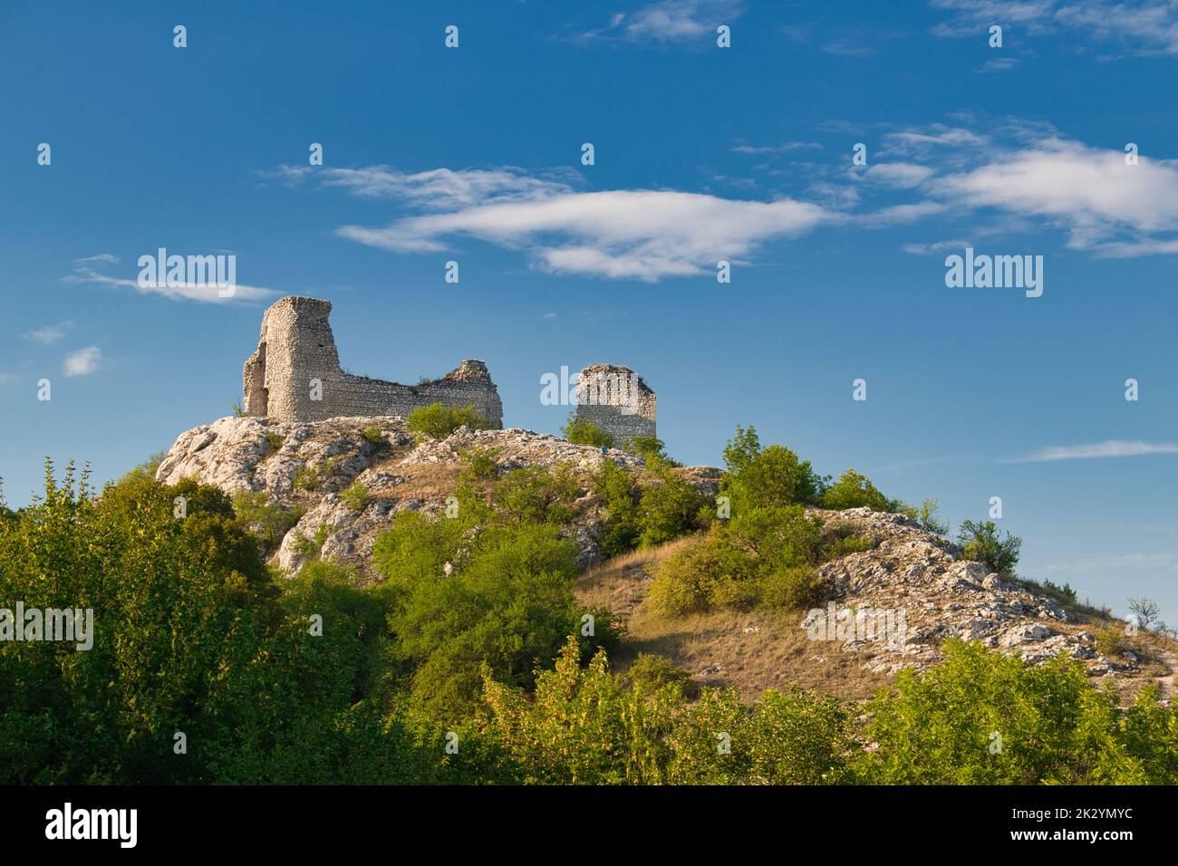 Una rovina del castello Sirotci hradek in Moravia, sotto il cielo blu. Palava, Repubblica Ceca. Foto Stock