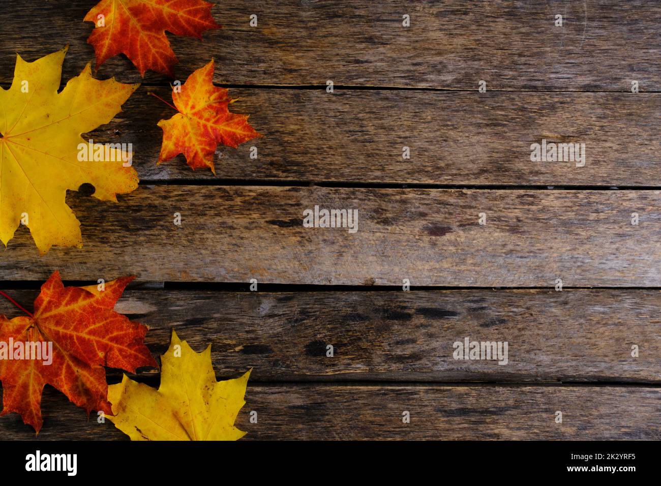 Fogliame di acero d'autunno rosso e giallo su sfondo di legno Foto Stock
