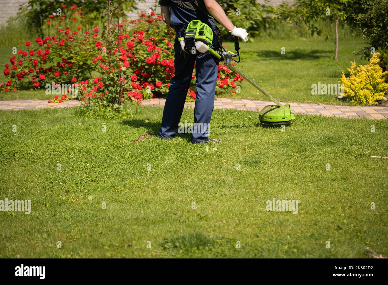 Il giardiniere sta tagliando l'erba nei guanti. Foto Stock