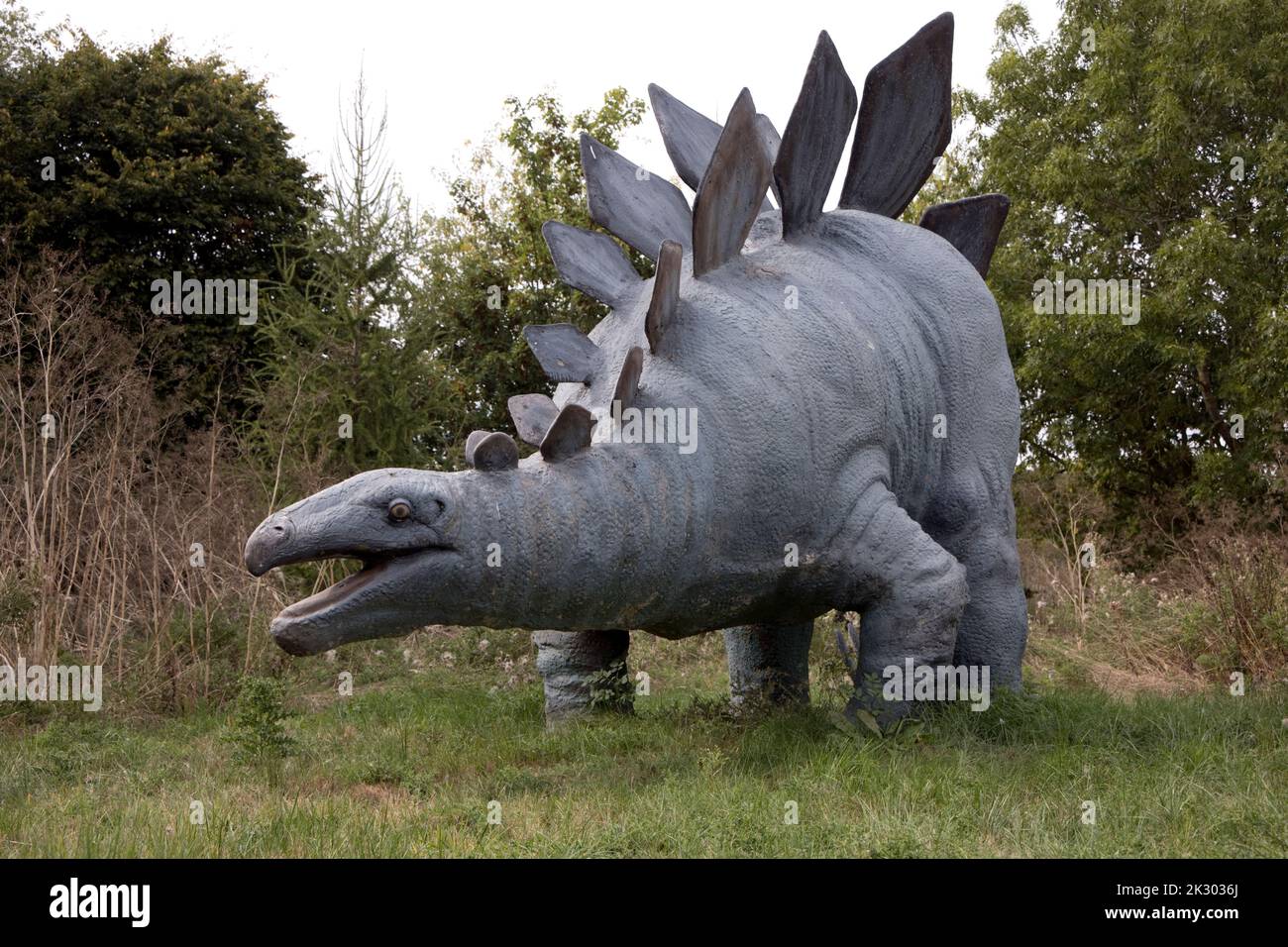 Modello LifeSize di Stegosaurus un dinosauro erbivoro, a quattro zampe, corazzato del tardo Jurassicd, All Things Wild, Honeybourne, UK Foto Stock