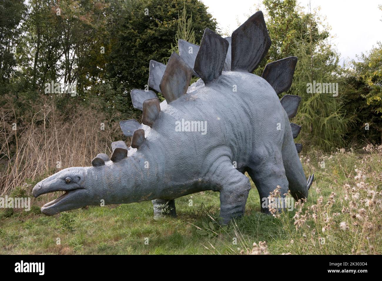 Modello LifeSize di Stegosaurus un dinosauro erbivoro, a quattro zampe, corazzato del tardo Jurassicd, All Things Wild, Honeybourne, UK Foto Stock