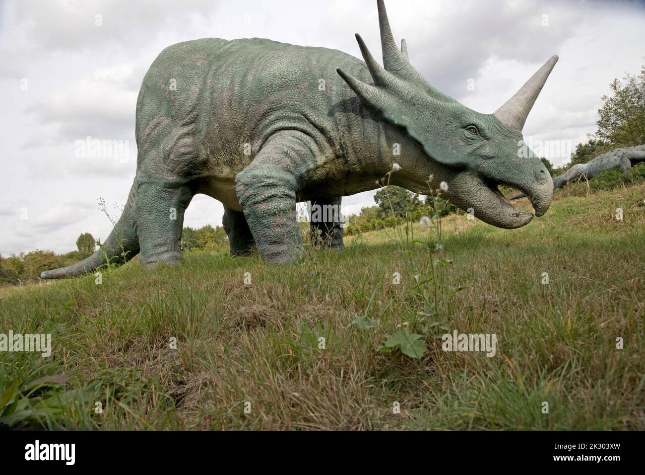 Modello LifeSize di Styracosarus un dinosauro ceratopsiano erbivoro a All Things Wild, Honeybourne, UK Foto Stock