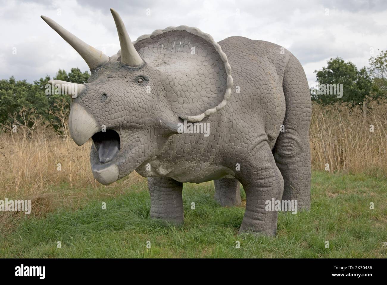 Modello di dinosauro di Triceratops All Things Wild, Honeybourne, UK Foto Stock