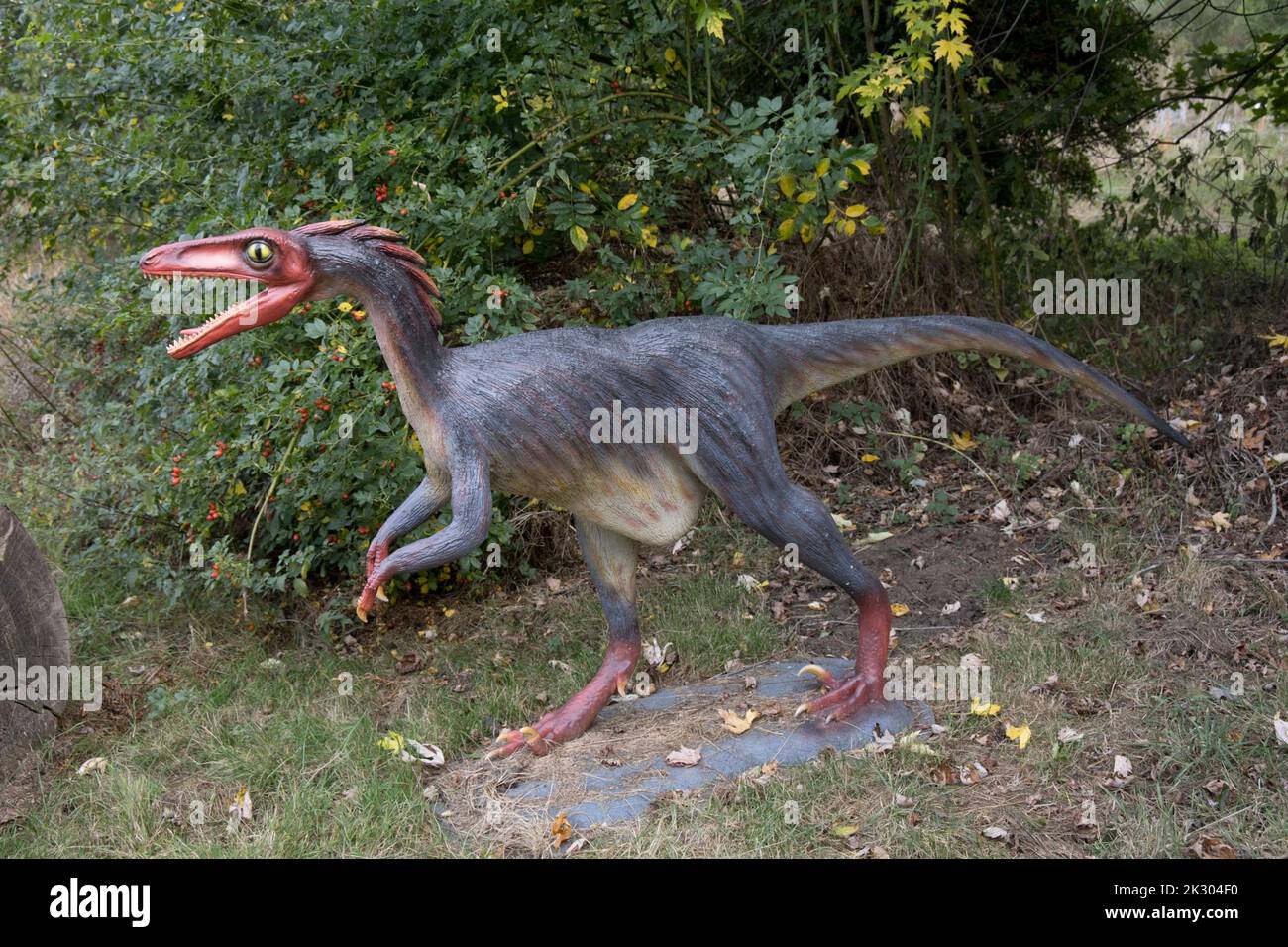 Modello LifeSize di Trodon un dinosauro teropodico birdlike del tardo Cretaceo, All Things Wild, Honeybourne, UK Foto Stock