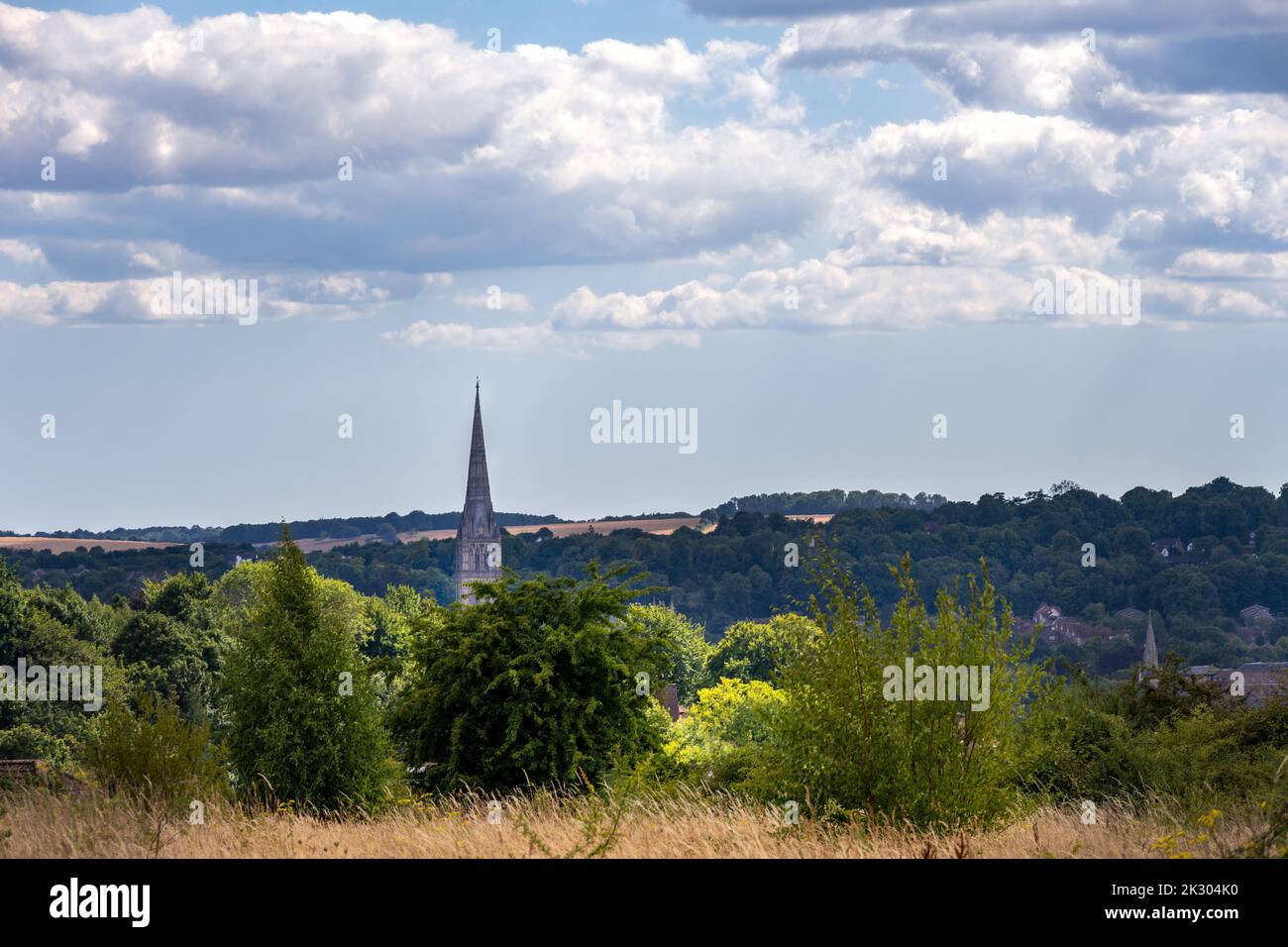 Vista della guglia della cattedrale di Salisbury dal Castle Hill Country Park, Wiltshire, Inghilterra Foto Stock