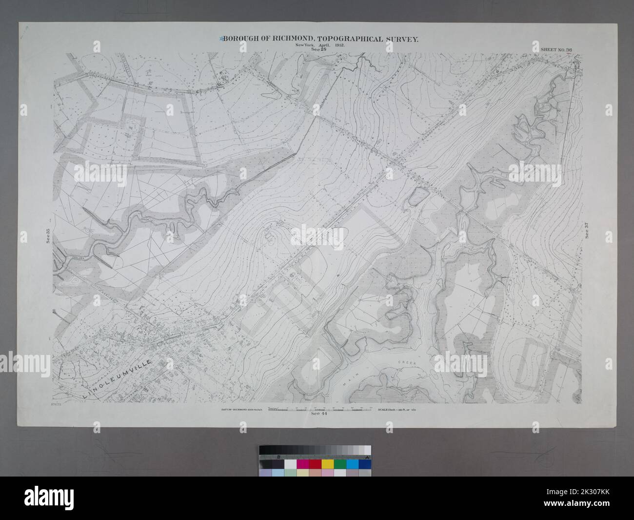 Cartografica, Mappe, Mappe topografiche. 1906 - 1913. Lionel Pincus e la Principessa Firyal Map Division. Staten Island (New York, N.Y.) Foglio n. 36. Include Chelsea Avenue, Union Avenue, Chelsea Creek, Richmond Turnpike e (Travis) Linoleum Ville. Borough of Richmond, Topographical Survey. Foto Stock