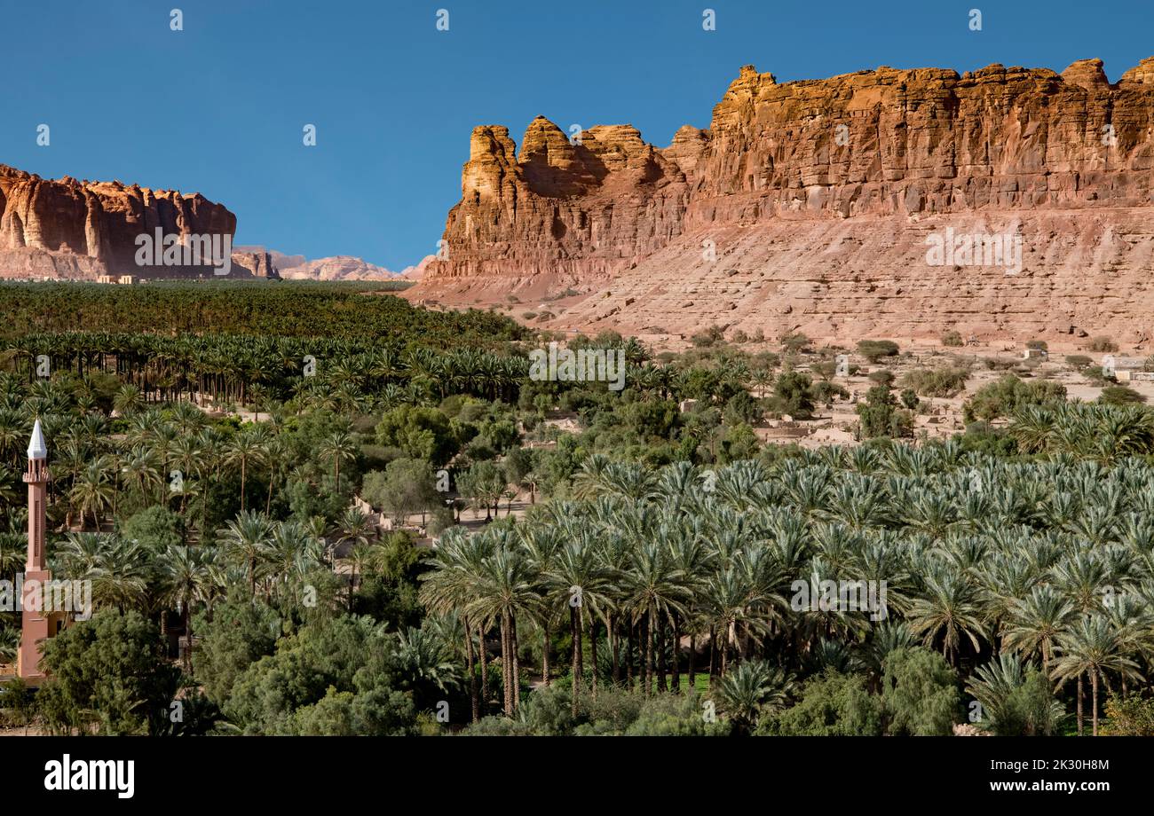 Palm Valley al Ula Arabia Saudita Foto Stock