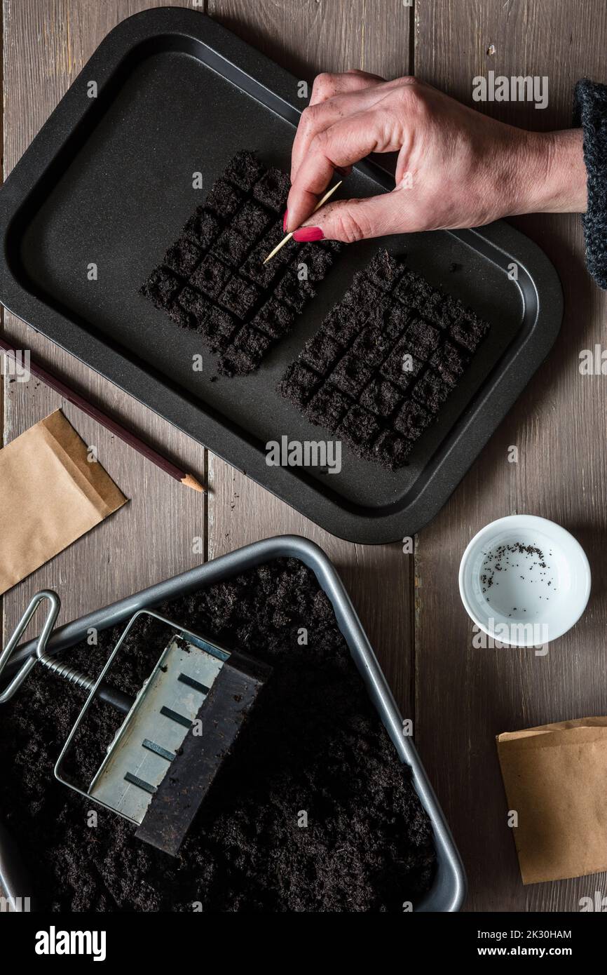 Mano di donna che prepara terreno per la coltivazione di piante Foto Stock