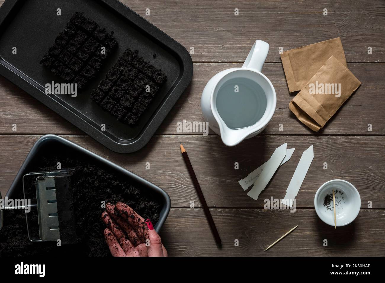 Mano di donna che prepara terreno per la coltivazione di piante Foto Stock