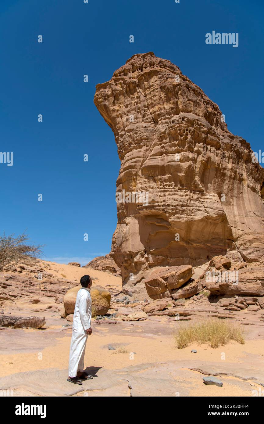 Uomo arabo locale che guarda su ad una formazione rocciosa torreggiante al Ula dell'Arabia Saudita Foto Stock