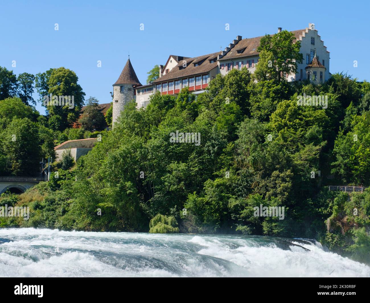 Svizzera, Cantone di Zurigo, alberi verdi tra le cascate del Reno e il castello di Laufen Foto Stock