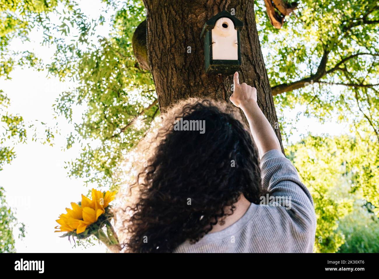 Donna con capelli ricci che puntano alla birdhouse sul tronco dell'albero Foto Stock