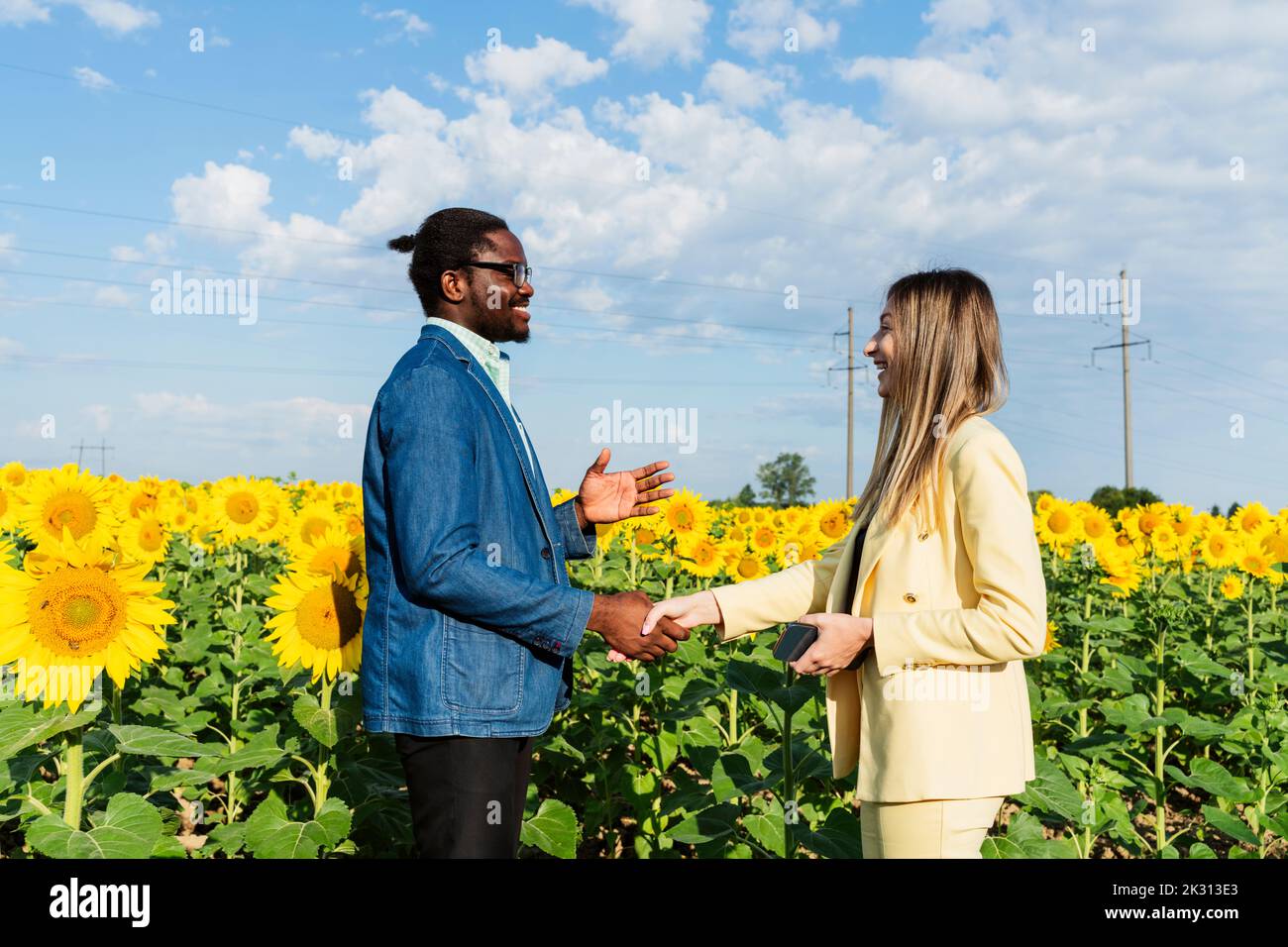 Felice donna d'affari che scuote le mani con l'uomo d'affari in campo di girasole Foto Stock