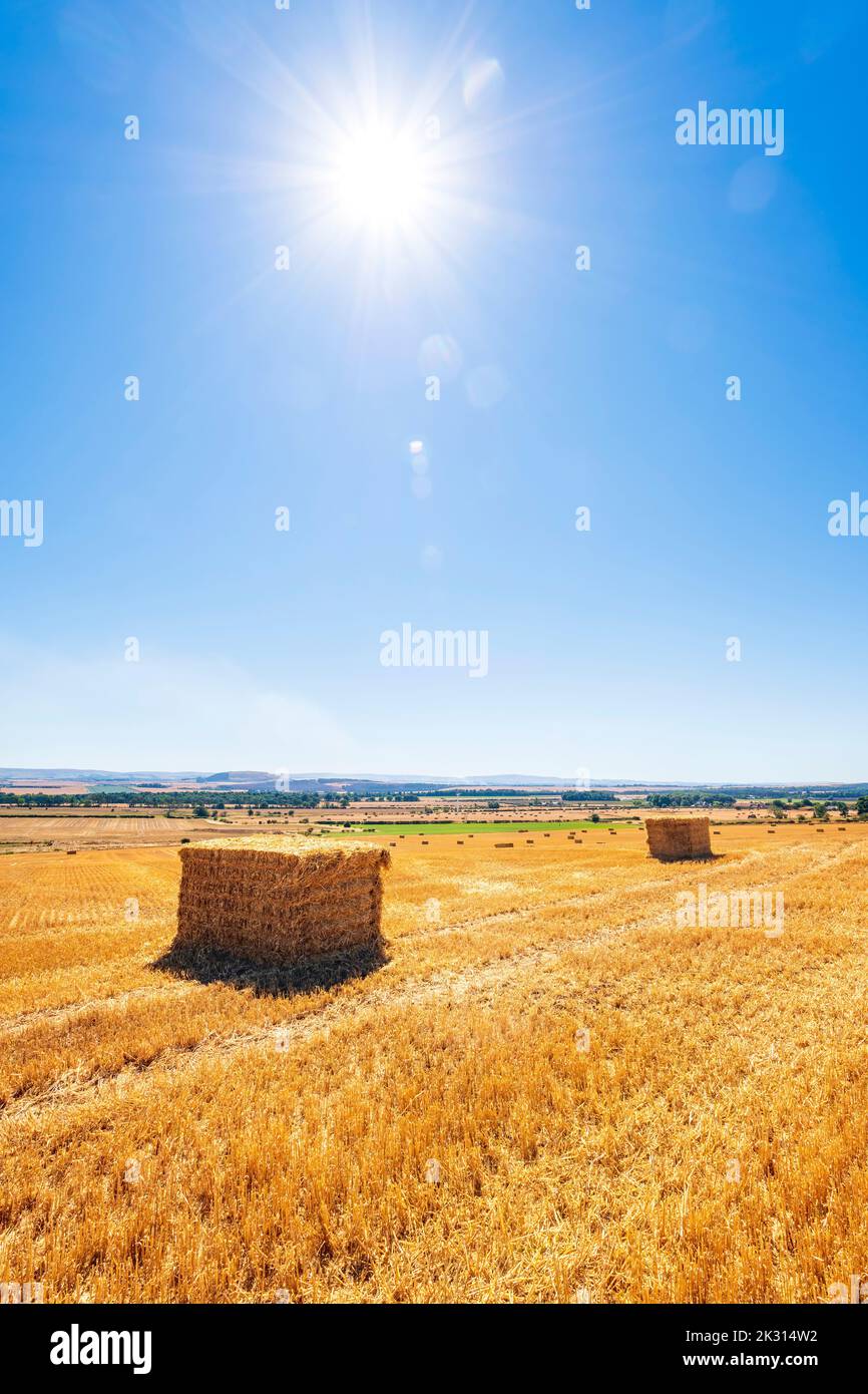 Sole splendente su pile di balle di fieno in campo raccolto Foto Stock