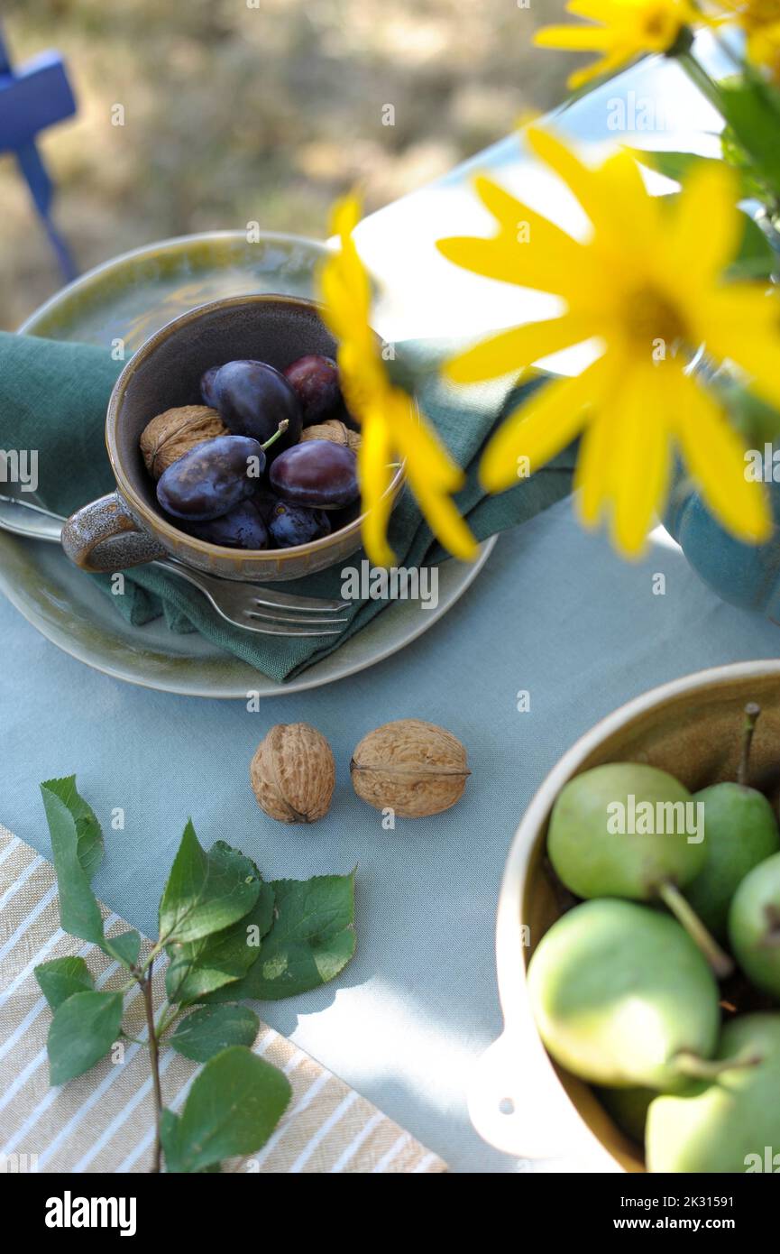 Prugne, noci e pere su tavola decorata in autunno Foto Stock