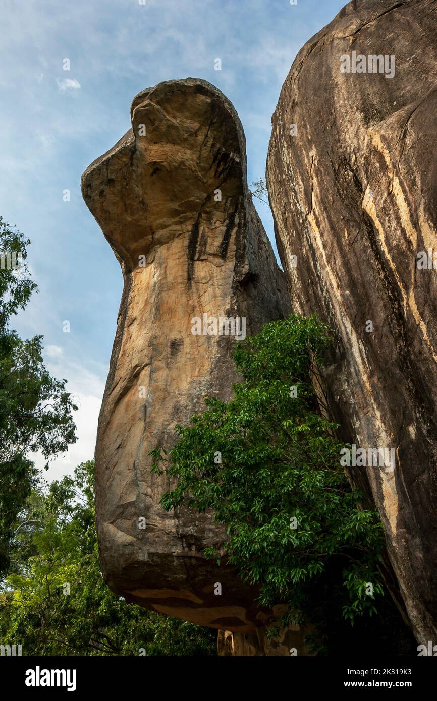 La Cobra Hood Cave presso la fortezza di Sigiriya Rock a Sigiriya, nel centro dello Sri Lanka. Fu usata come dimora per la Sangha. Foto Stock