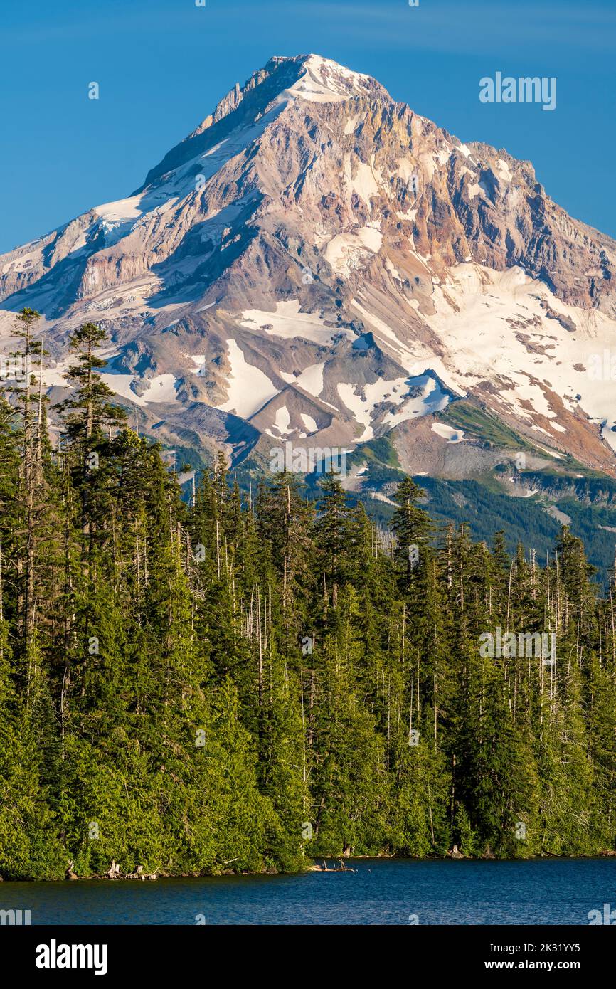Vista panoramica di Mount Hood, Oregon, Stati Uniti Foto Stock