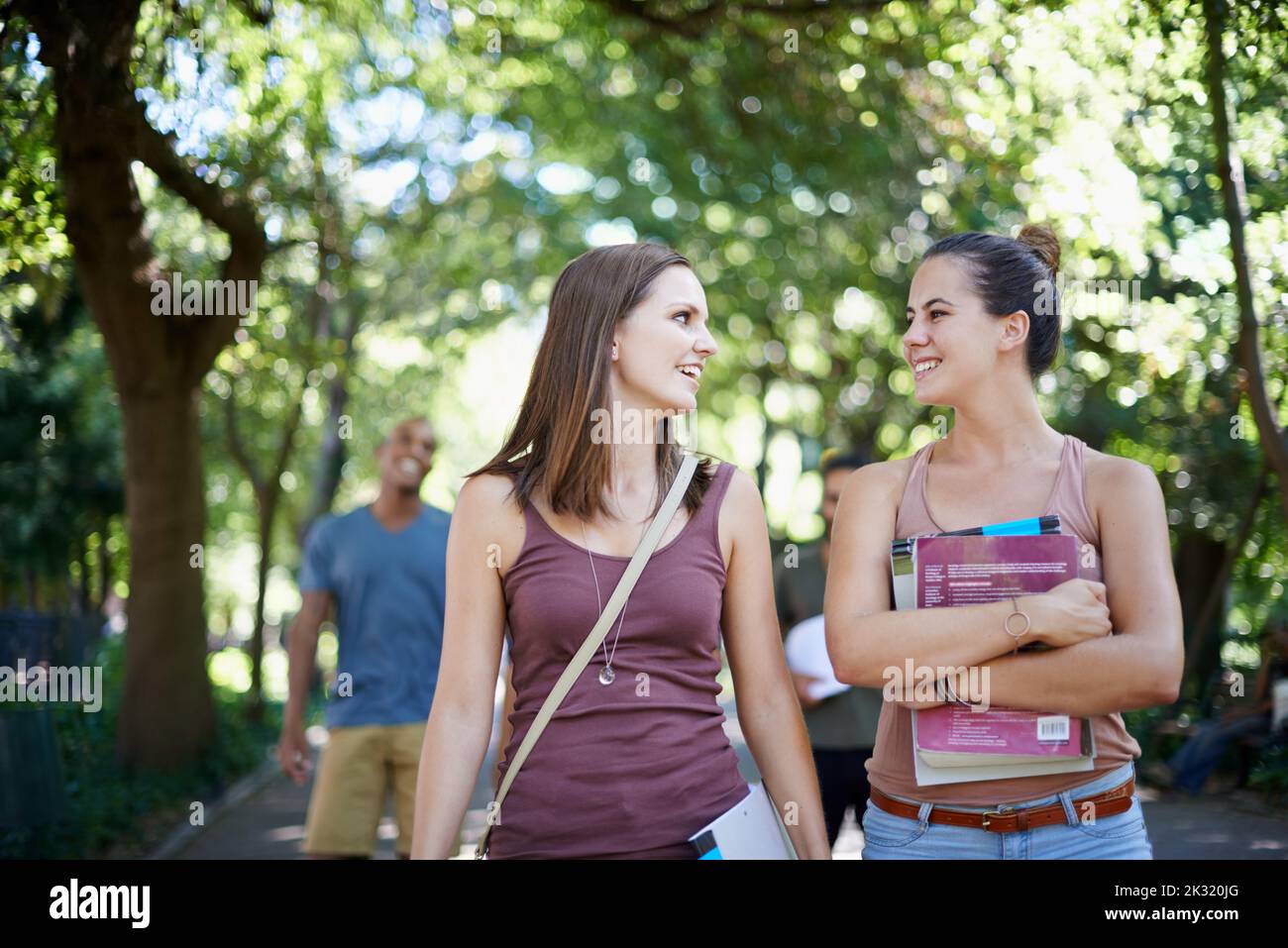 La vita del campus è fantastica: Gli studenti universitari si aggrappano al campus. Foto Stock