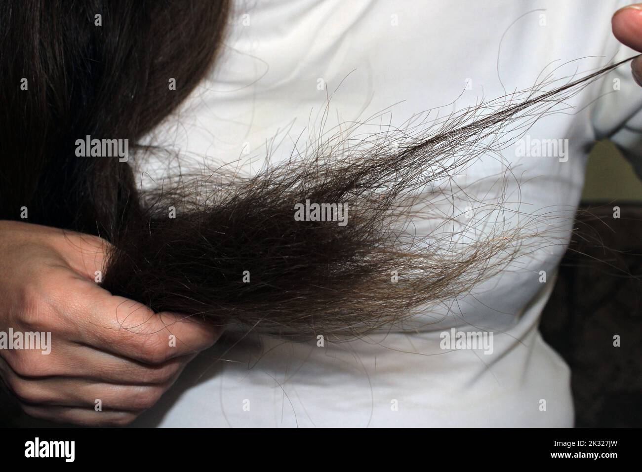 Una ragazza con lunghi capelli scuri tiene in mano le estremità dei capelli danneggiati. Problema di perdita dei capelli. Foto Stock