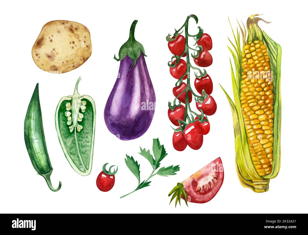 Una serie di verdure acquerello: Melanzane, pomodori ciliegini, mais, pepe, patate, prezzemolo dipinto a mano in acquerello su fondo bianco. Foto Stock