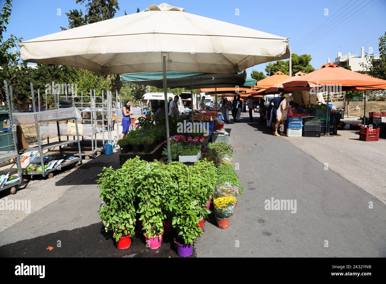 Persone Shopping al mercato Sabato Stallholder Vendita Basilio e Chrysanthemums Vouliagmeni Atene Grecia Foto Stock