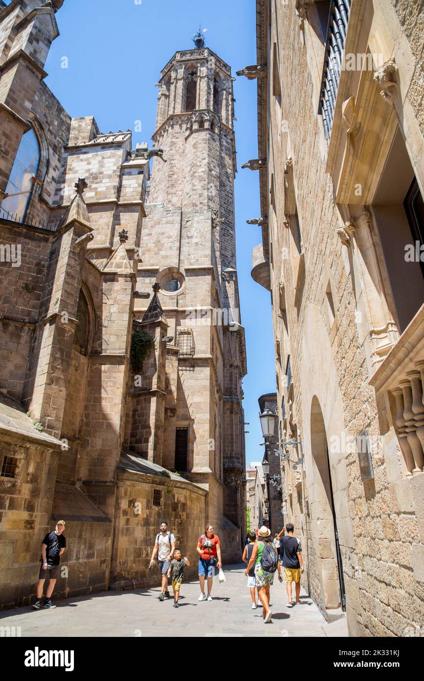 Barcelona Cathedral nel quartiere gotico della vecchia Barcellona, Spagna Foto Stock