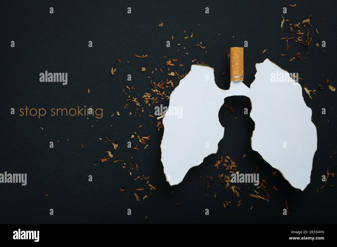 Concetto di salute polmonare, danno del fumo sul polmone Foto Stock