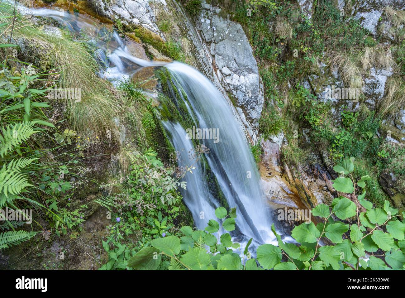 Die Allerheiligen Wasserfälle bei Oppenau, Schwarzwald, Baden-Württemberg, Deutschland | le cascate di tutti i Santi vicino Oppenau, Foresta Nera, Baden Foto Stock