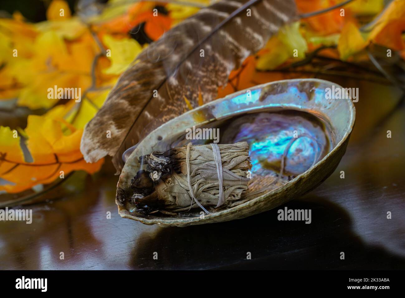 salvia bruciante in guscio di abalone per meditare Foto Stock