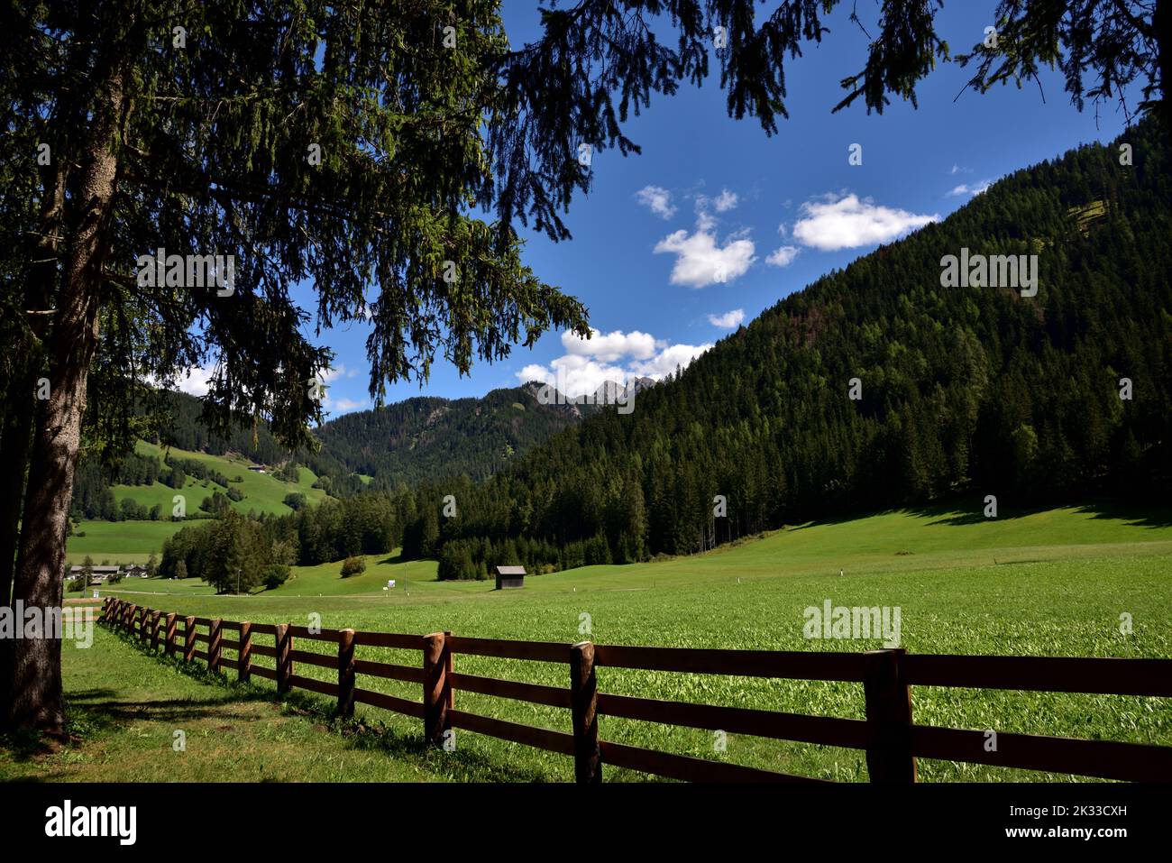 Nella valle di Braies, lungo la strada che conduce al famoso lago, si trovano vaste aree boscose e distese di erba che ricordano il paesaggio bucolico Foto Stock