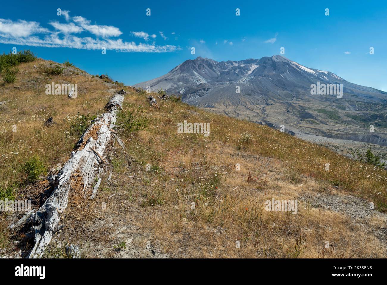 Vista panoramica su Mount St. Helens, Skamania County, Washington, Stati Uniti Foto Stock