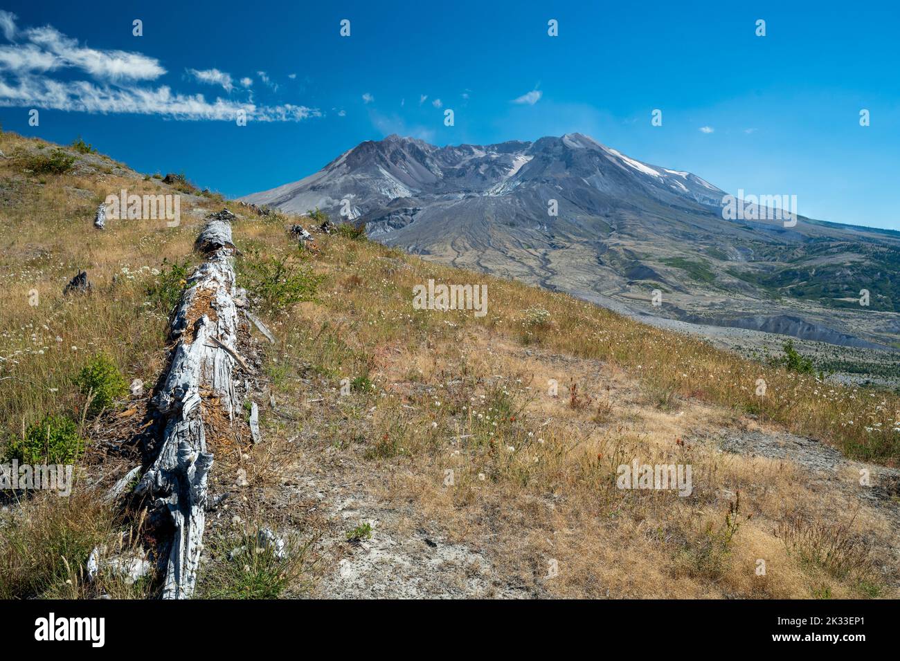 Vista panoramica su Mount St. Helens, Skamania County, Washington, Stati Uniti Foto Stock