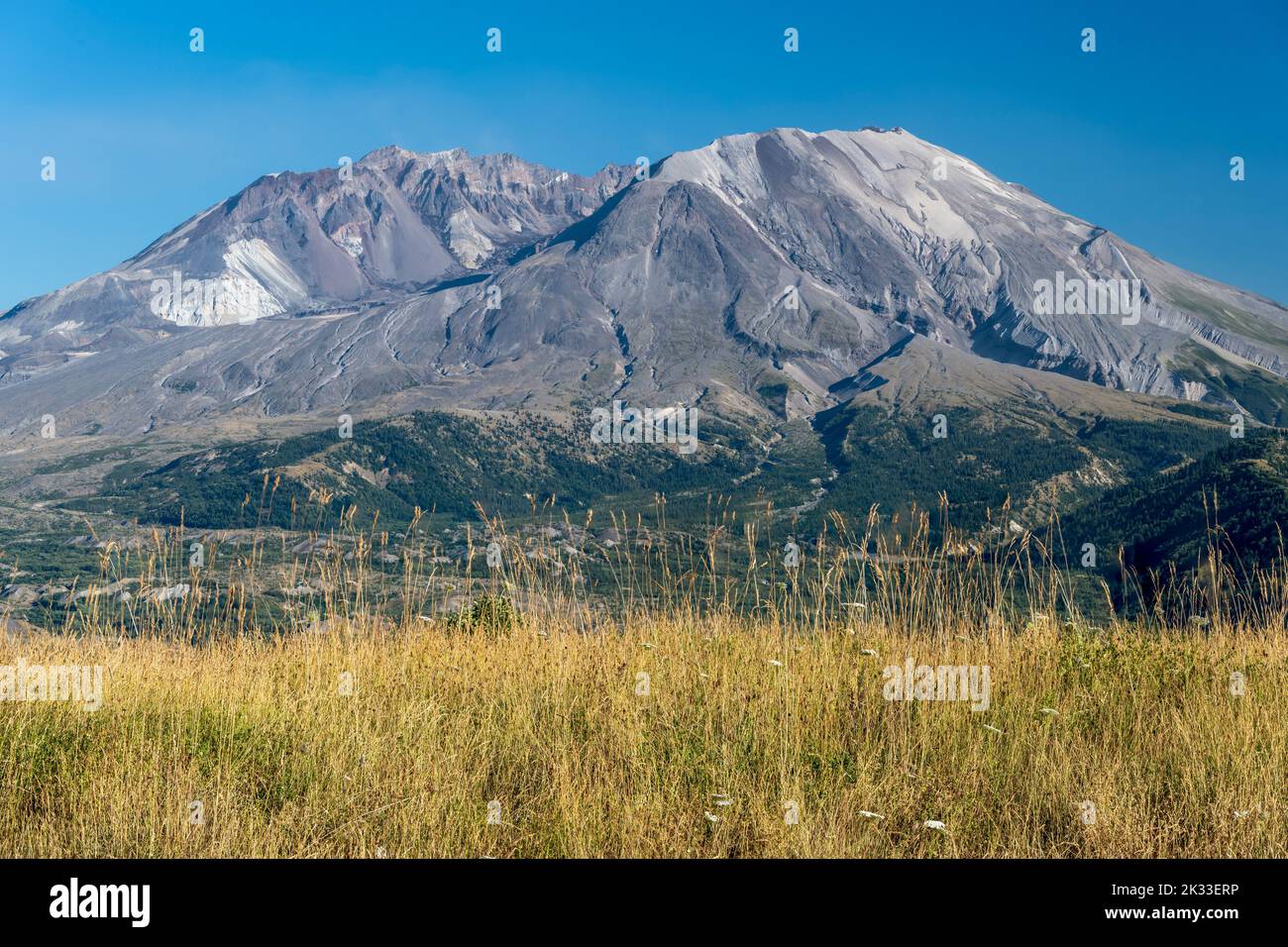 Vista panoramica su Mount St. Helens, Skamania County, Washington, Stati Uniti Foto Stock