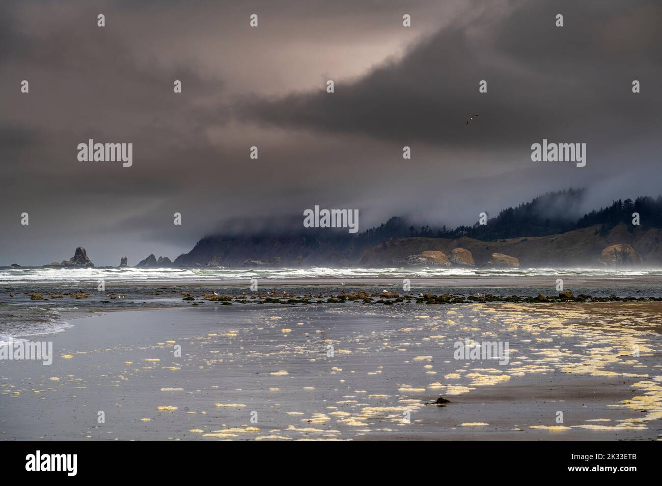 Spettacolare mare vicino a Cannon Beach, Oregon, Stati Uniti Foto Stock