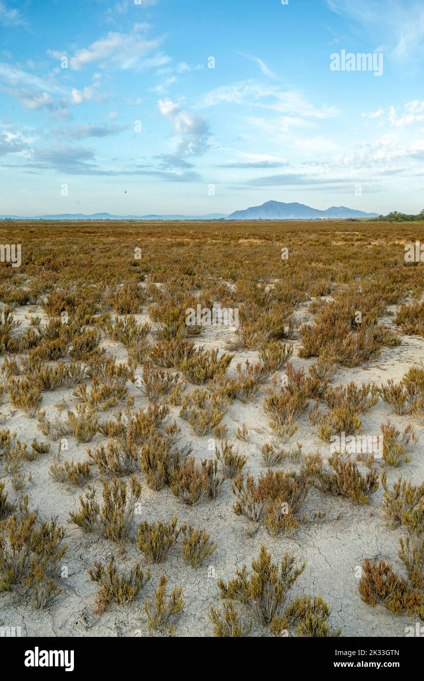 fotografia paesaggistica che descrive la siccità che esiste in alcuni luoghi a causa del cambiamento climatico, ad alicante, spagna Foto Stock