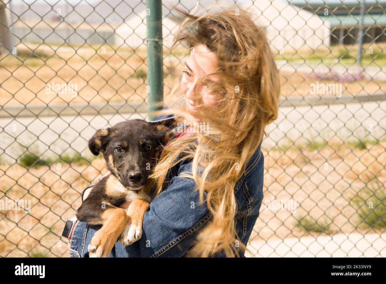 BAKU, AZERBAIJAN, 16 MAGGIO 2018 : ragazza volontaria nel vivaio per cani. Riparo per cani randagi Foto Stock