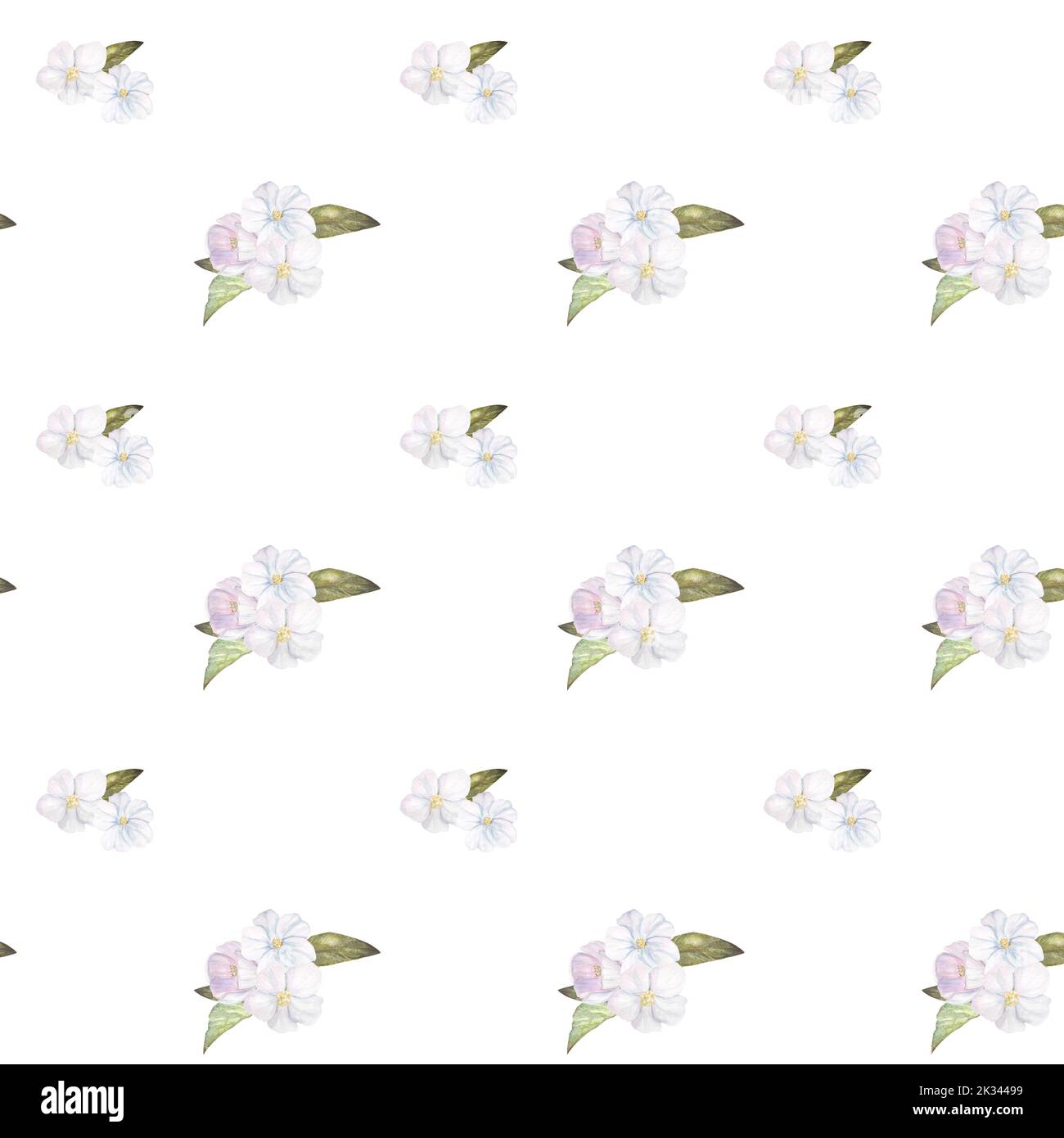 acquerello senza cuciture con fiori e foglie bianchi Foto Stock