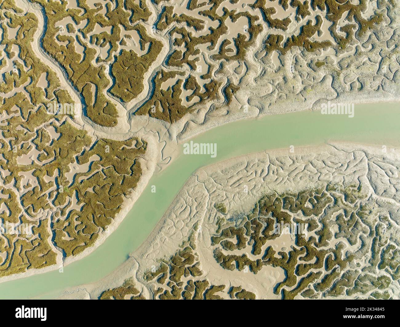 Rete di canali e ruscelli in bassa marea, nella palude della Bahia de Cadice, vista aerea, fucilato, provincia di Cadice, Andalusia, Spagna Foto Stock