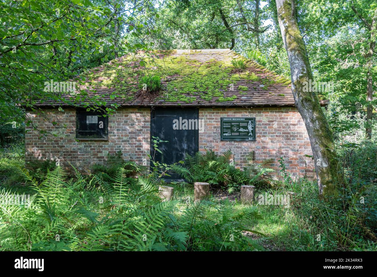 Ebernoe resti comuni di vecchi edifici in mattoni e forno nel bosco, Sussex occidentale, Inghilterra, Regno Unito. Il capannone di stampaggio restaurato. Foto Stock