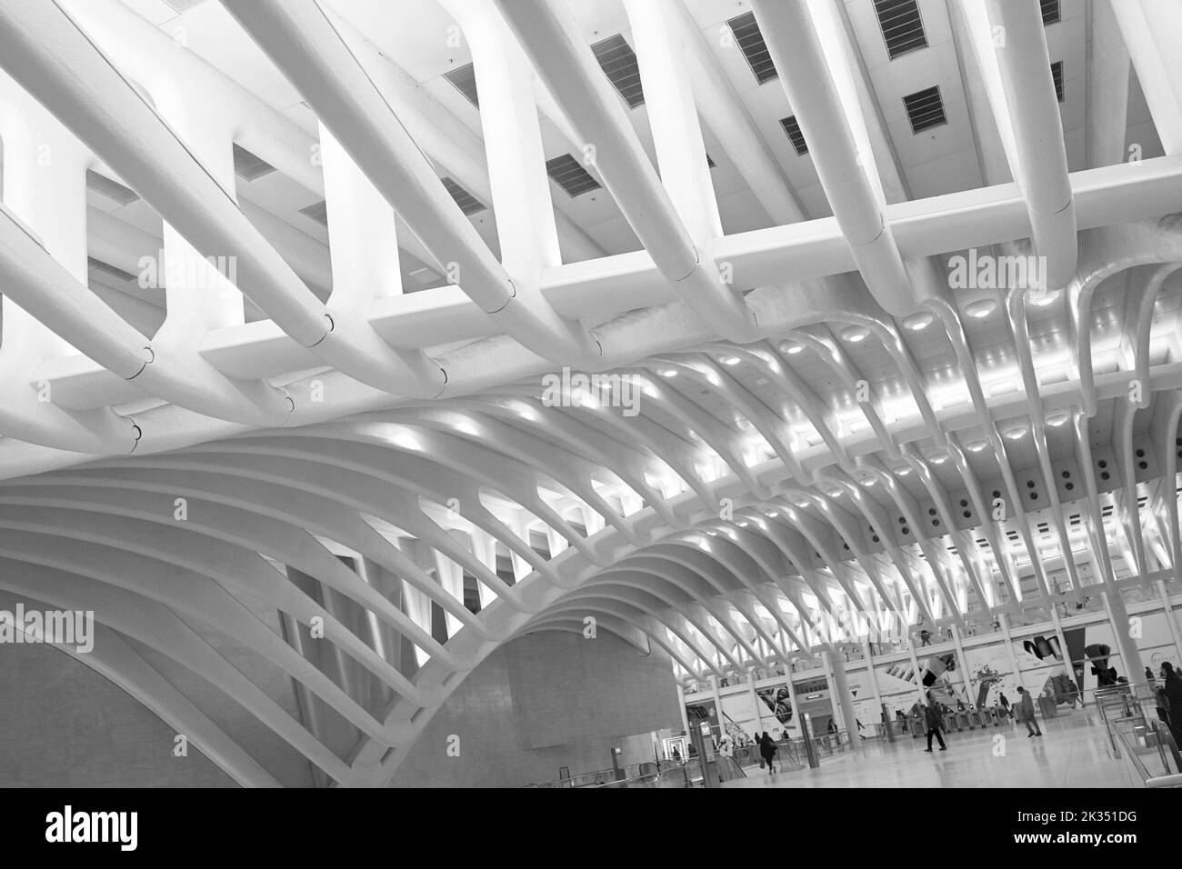 Particolare delle ossa o della colonna vertebrale all'interno dell'Oculus al World Trade Center di Manhattan, New York Foto Stock