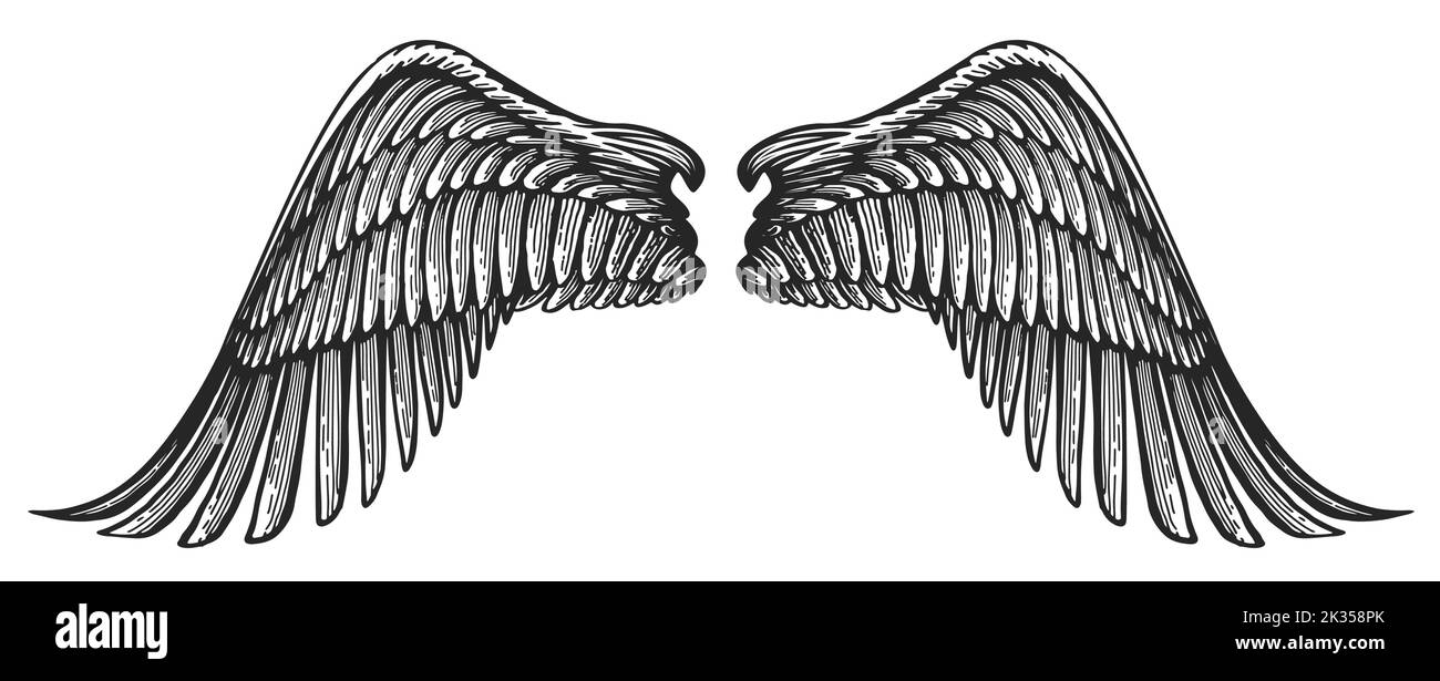 Coppia di ali d'angelo in stile incisione vintage. Illustrazione del vettore dell'ala araldica dell'uccello disegnata a mano Illustrazione Vettoriale