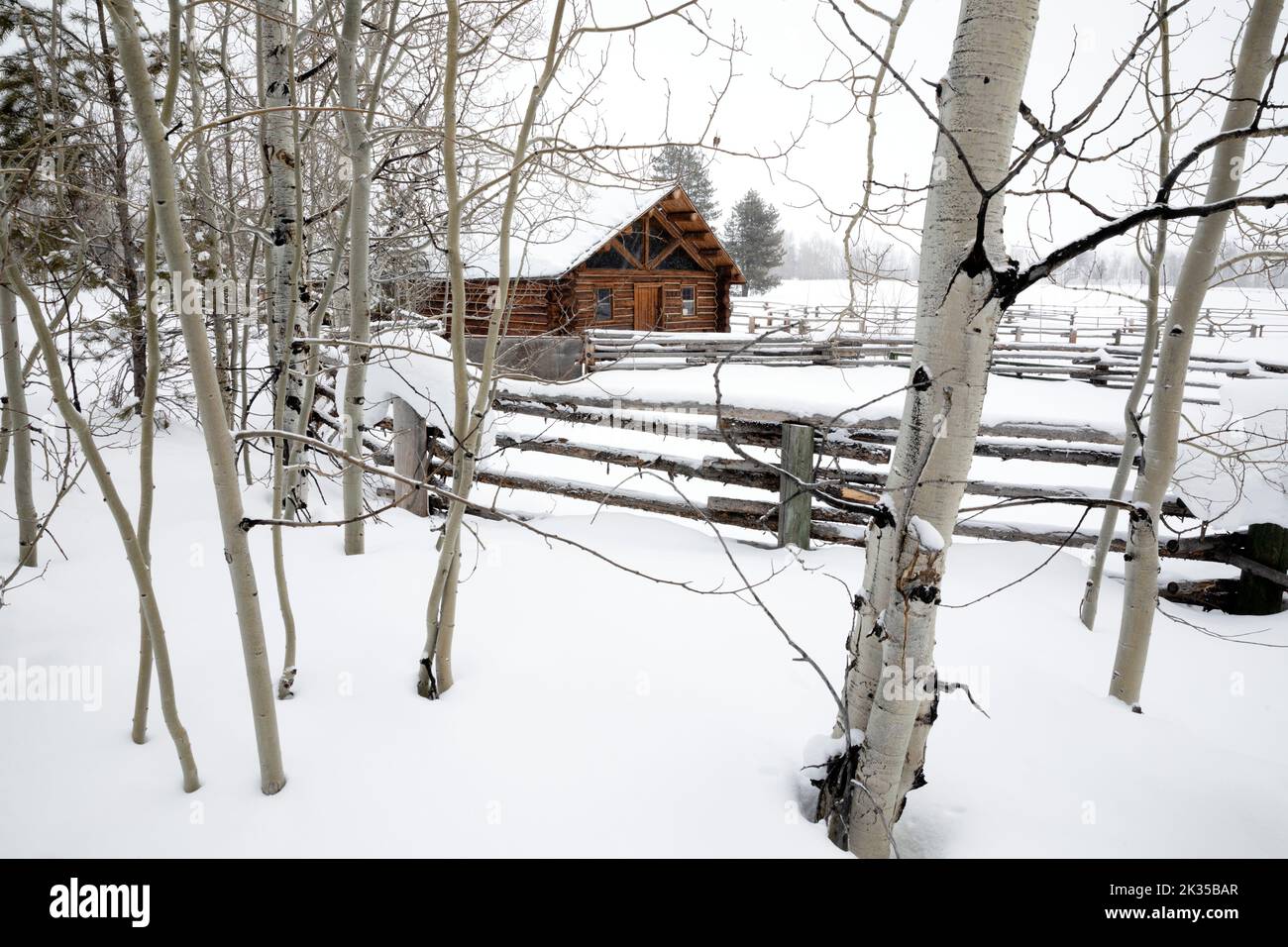 WY05059-00..... WYOMING - Cabin presso il Coral dei cavalli nel Parco Nazionale di Grand Teton. Foto Stock
