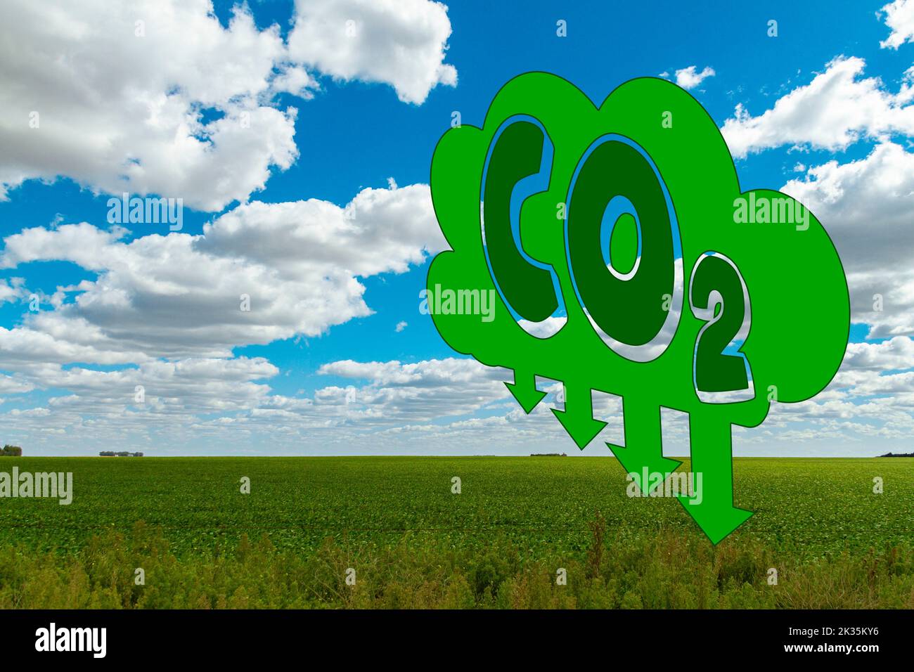 Disegno che rappresenta l'assorbimento di anidride carbonica da parte del campo. Concetto di cambiamento climatico, tutela dell'ambiente, atmosfera e inquinamento. Copia spac Foto Stock