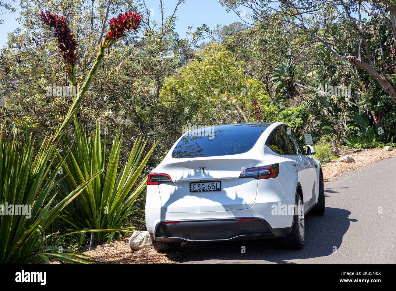 2022 modello Tesla modello Y in bianco 4 porte EV parcheggiato nel sobborgo di Whale Beach, Sydney, NSW, Australia Foto Stock